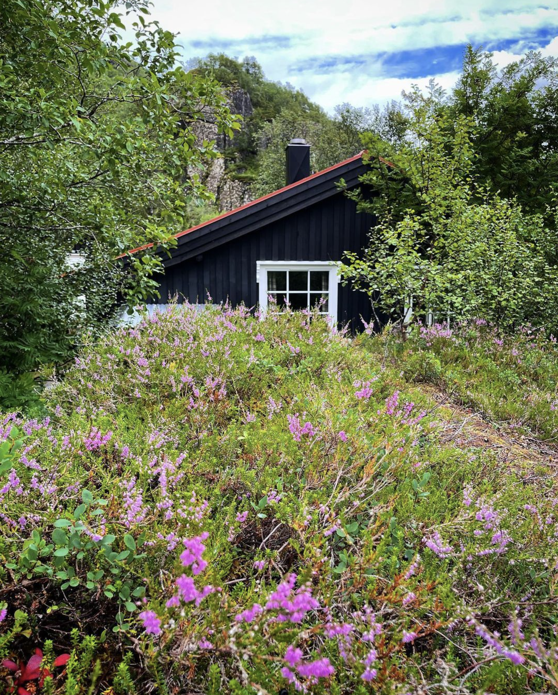 skjermbilde 2023-11-16 kl  09 42 06